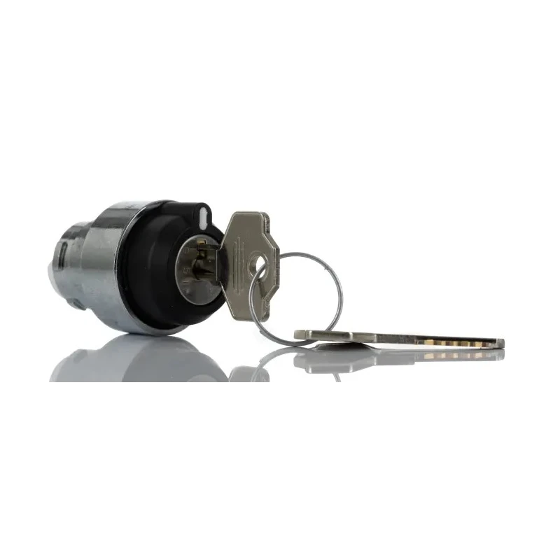 RS PRO Key Selector Switch 1 NO Contact 22.5 mm Cutout Diameter 2 Positions Maintained 238-3956