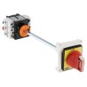 Schneider Electric 3-Pole Panel Mount Isolator Switch, IP65, 80A VCCF4