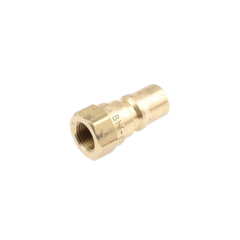 Parker Brass Hydraulic Quick Connect Coupling Female G 1/8 in, 1000 psi BH1-61-BSPP