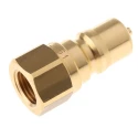 Parker Brass Hydraulic Quick Connect Coupling Female G 1/4 in, 1000 psi BH2-61-BSPP