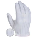 RS PRO Polyethylene Anti-Static Gloves Size 8 Reusable, Latex-Free, PET Material 356-2208