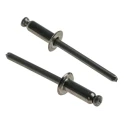 POP Stainless Steel Blind Rivet 4.8 mm Dome Head Plain Finish SSD66SSBS