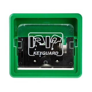 Hoyles K1000 Series Green Fire Alarm Call Point Snatch-off Plastic Window Operated Indoor Battery-Powered K1020G