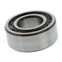 NSK Double Row Angular Contact Ball Bearing 25 mm ID, 52 mm OD, 20.6 mm Race Width 3205BTNG