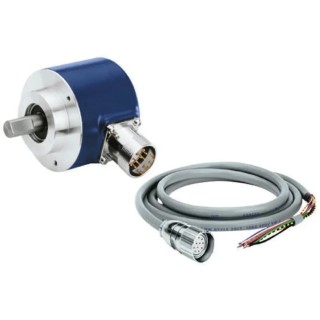 Baumer Female 12 Way M23 to Female Unterminated Sensor Actuator Cable Z 130.005 300V PVC Jacket Grey