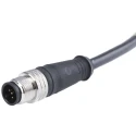 Brad from Molex Sensor Actuator Cable Male 5 Way Straight 2 m 250V IP67 1200060680