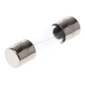 RS PRO 2A Fast Acting Glass Cartridge Fuse, 5 x 20 mm, 250V AC, Glass Body, Model 610-9686