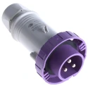 Scame IEC309 IP67 Purple Cable Mount 3P Straight Industrial Power Connector 16A 20V 25V 235.1604