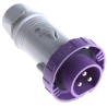 Scame IEC309 IP67 Purple Cable Mount 3P Straight Industrial Power Connector 16A 20V 25V 235.1604
