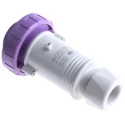 Scame IEC309 IP67 Purple Cable Mount 3P Straight Industrial Power Connector 16A 20V 25V 235.1604