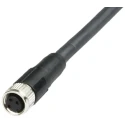 Telemecanique Sensors Female 1/2 In Circular, Straight to 3 Way Unterminated Sensor Actuator Cable, 5 m XZCP1865L5