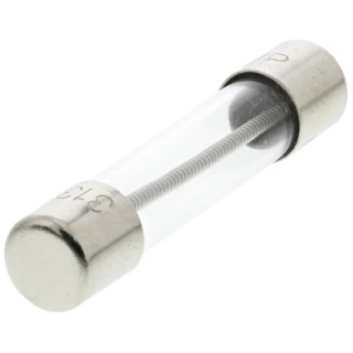 Littelfuse 2A T Glass Cartridge Fuse 6.3 x 32 mm 250V AC Time Delay 0313002.HXP