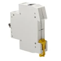 Schneider Electric 1-Pole DIN Rail Isolator Switch ISW Series, 20A, 250V AC, IP40, Grey Handle A9S60120