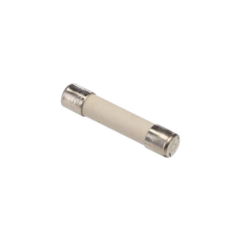 SIBA 2A F Ceramic Cartridge Fuse 5 x 25 mm, Super Fast Acting, 250V AC 70-010-04/2A