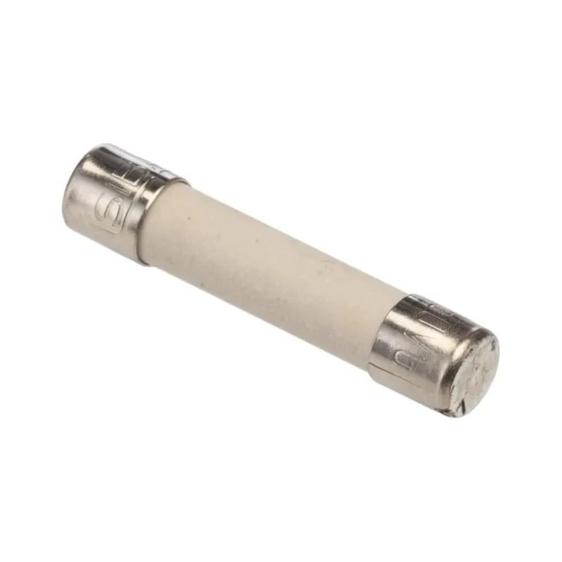 SIBA 2A F Ceramic Cartridge Fuse 5 x 25 mm, Super Fast Acting, 250V AC 70-010-04/2A