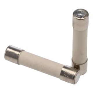 SIBA 2A Medium Acting Ceramic Cartridge Fuse, 5 x 25 mm, 250V ac, Series GZ 70-010-05/2A