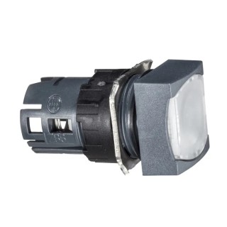 Schneider Electric Harmony XB6 Series Illuminated Push Button Switch, Spring Return, 16 mm Cutout, IP65 ZB6CW1