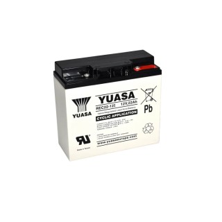 Yuasa VRLA AGM Sealed Lead Acid Battery 12 V, 22 Ah, M5 Insert Terminal, 76.2mm x 167mm REC22-12I
