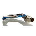 Brad from Molex Sensor Actuator Cable Male 4 Way M8, Straight to 4 Way Unterminated, 200 mm 1200905078