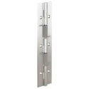Pinet Raw 304 Stainless Steel Spring Hinge with Spring Loaded Pin, Screw Fixing, 180 mm x 40 mm x 1.5 mm 71-1-3794