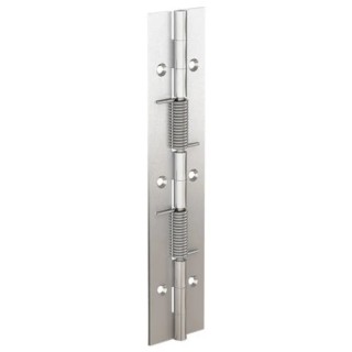 Pinet Raw 304 Stainless Steel Spring Hinge with Spring Loaded Pin, Screw Fixing, 180 mm x 40 mm x 1.5 mm 71-1-3794