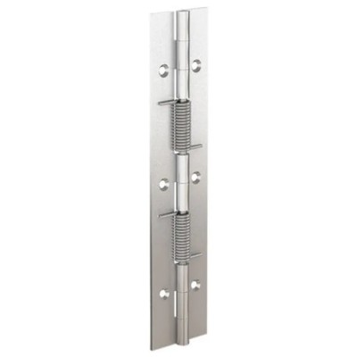 Pinet Raw 304 Stainless Steel Spring Hinge with Spring Loaded Pin, Screw Fixing, 180 mm x 40 mm x 1.5 mm 71-1-3794