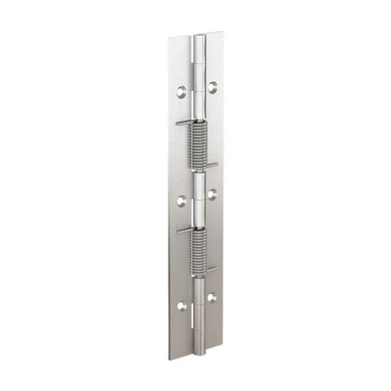 Pinet Raw 304 Stainless Steel Spring Hinge with Spring Loaded Pin, Screw Fixing, 180 mm x 40 mm x 1.5 mm 71-1-3794