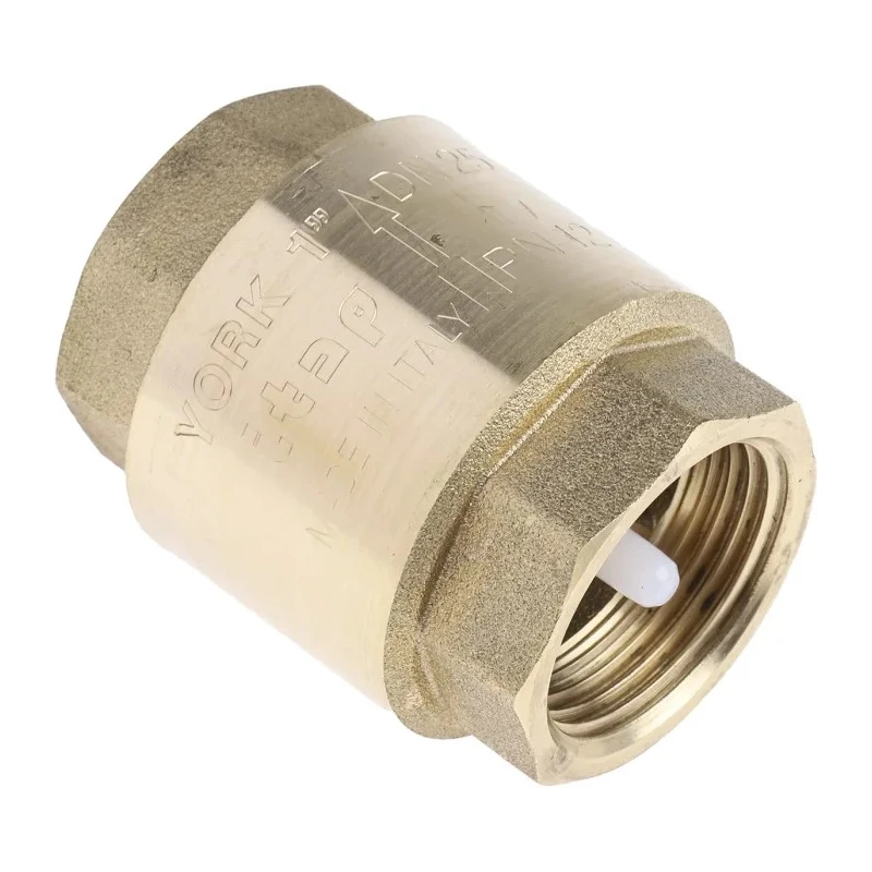 RS PRO Brass Threaded Single Check Valve 1 in BSPP 12 bar 486-164