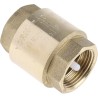 RS PRO Brass Threaded Single Check Valve 1 in BSPP 12 bar 486-164