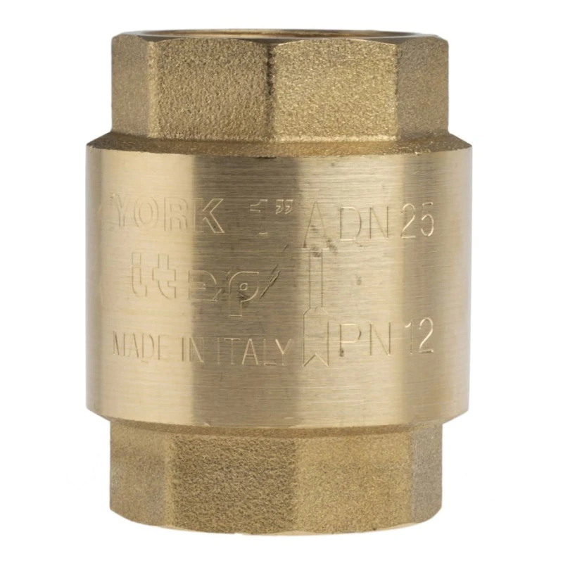 RS PRO Brass Threaded Single Check Valve 1 in BSPP 12 bar 486-164