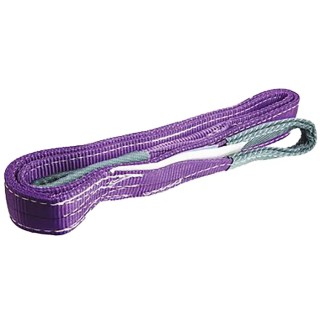 RS PRO 6 m Purple Polyester Duplex Webbing Lifting Sling, 1 t Load Capacity 124-4878
