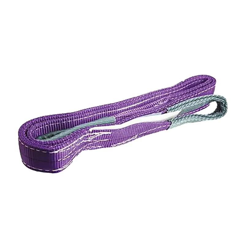 RS PRO 6 m Purple Polyester Duplex Webbing Lifting Sling, 1 t Load Capacity 124-4878