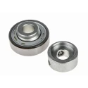 INA Bearing Unit Insert, 12 mm ID, 40 mm OD, Closed End, 28.6 mm Width, Static Load 4.75kN, Dynamic Load RAE12-XL-NPP-FA106