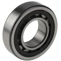FAG Cylindrical Roller Bearing 30 mm Inside Diameter 62 mm Outside Diameter Open End Type NU206-E-XL-TVP2