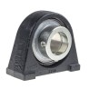 INA Cast Iron Plummer Block House, 30 mm Inside Diameter, Centre Height 42.9 mm, M10 Mount Hole Size, PSHE30-XL-N