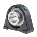 INA Cast Iron Plummer Block House, 30 mm Inside Diameter, Centre Height 42.9 mm, M10 Mount Hole Size, PSHE30-XL-N