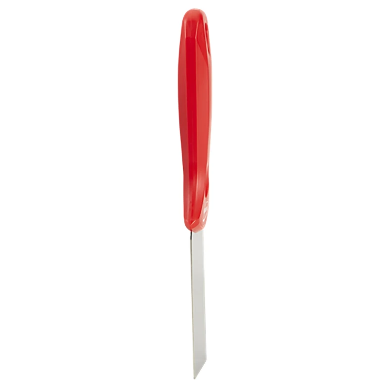 Vikan Stainless Steel Plastic Hand Scraper, Stainless Steel Blade, Plastic Handle, 235mm Length 40084