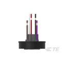 TE Connectivity LUMAWISE ENDURANCE N Series Female Lighting Connector Wire 1.5A 480V 2213627-8