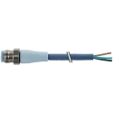 Murrelektronik Limited Female 5 Way Straight to Unterminated Free End Sensor Actuator Cable 1.5 m 7024-12041-3390150