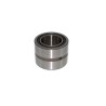INA Needle Roller Bearing 25 mm Inside Diameter, 42 mm Outside Diameter NA6905-XL