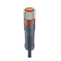 Lumberg Automation Sensor Actuator Cable Female 3 Way M8 Connector to Unterminated 15 m 60V RKMV Series 44209 RKMV 3-224/15 M