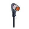 Lumberg Automation Female 4 Way Right Angle to Unterminated Free End Sensor Actuator Cable 300mm 16564 RKWTN 4-225/0,3 M