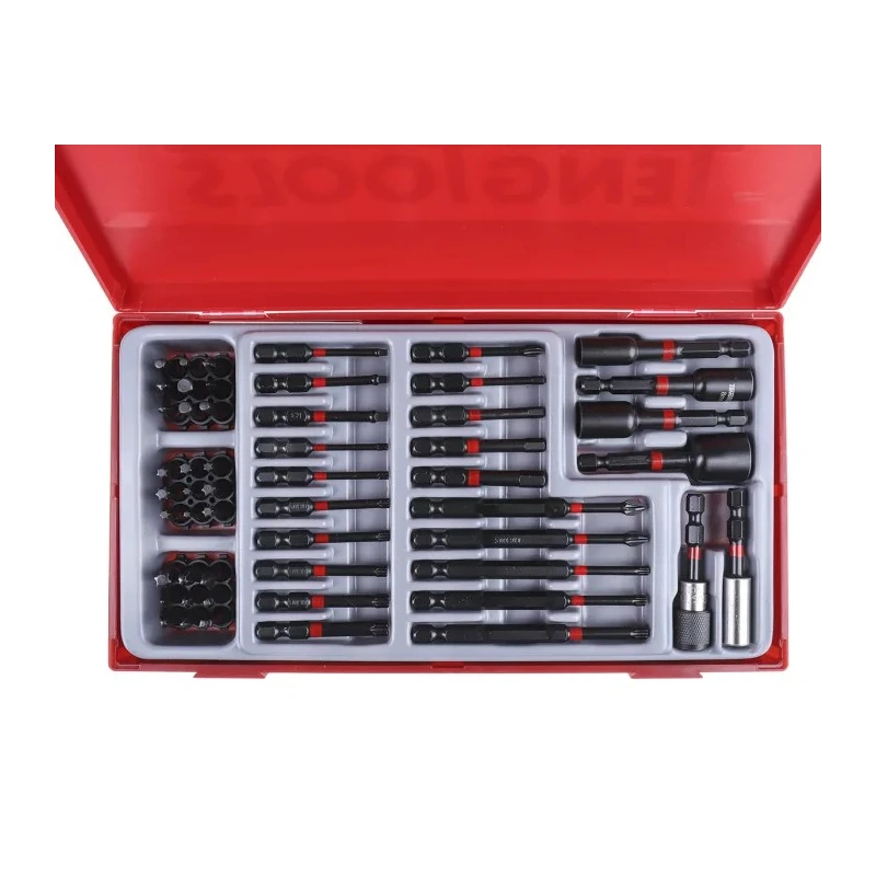 Teng Tools Hex, Phillips, Slotted, Torx Screwdriver Bit Set, 53 Pieces, 6.35 mm, Alloy Steel TTBS53