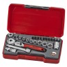 Teng Tools 20-Piece 1/4 in Hexagon Socket Set Chrome Vanadium Steel Satin Finish T1424S