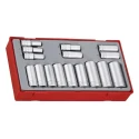 Teng Tools 16-Piece 3/8 in 6 Point Satin Finish Chrome Vanadium Steel Socket Set TT3816