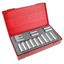 Teng Tools 16-Piece 3/8 in 6 Point Satin Finish Chrome Vanadium Steel Socket Set TT3816