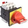 Schneider Electric 3-Pole Panel Mount Isolator Switch, IP20 IP65, 25A 11kW VCF0