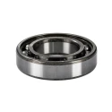SKF Single Row Deep Groove Ball Bearing 30 mm ID, 55 mm OD, 13 mm Width, Steel Ball, Sheet Metal Cage 6006-Z