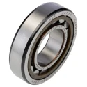 SKF Cylindrical Roller Bearing 35 mm Inside Diameter 72 mm Outside Diameter 17 mm Race Width Shielded NU 207 ECP/C3