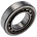 SKF Single-Row Cylindrical Roller Bearing 45 mm ID, 85 mm OD, 19 mm Width, Shielded, Non-Metallic Cage, 9500 NU 209 ECP/C3
